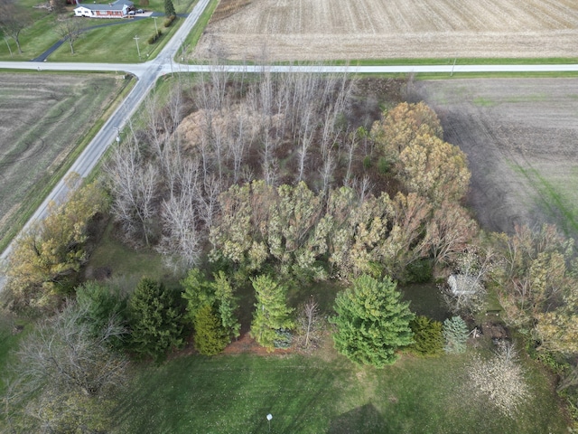 bird's eye view with a rural view