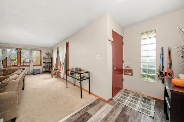 entrance foyer with hardwood / wood-style flooring and a healthy amount of sunlight