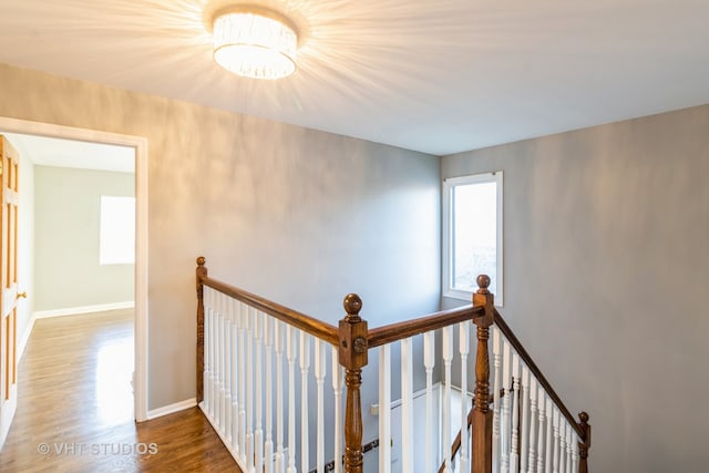 hall with dark hardwood / wood-style flooring