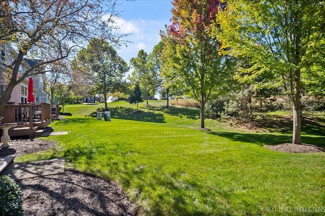 view of yard featuring a wooden deck