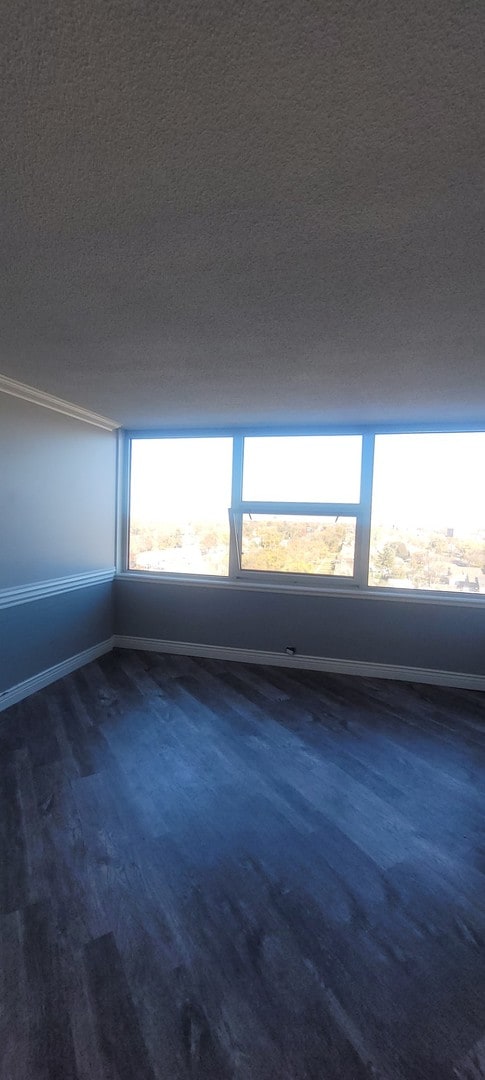 spare room featuring plenty of natural light, a textured ceiling, and dark hardwood / wood-style floors