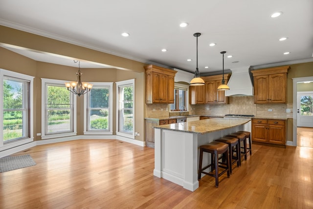 kitchen featuring plenty of natural light, light hardwood / wood-style floors, and custom exhaust hood