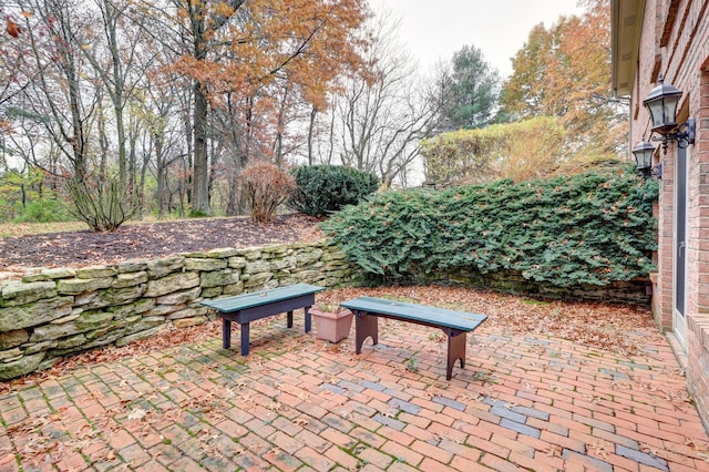 17619 Grandview Dr, Sterling, IL 61081 - view of patio