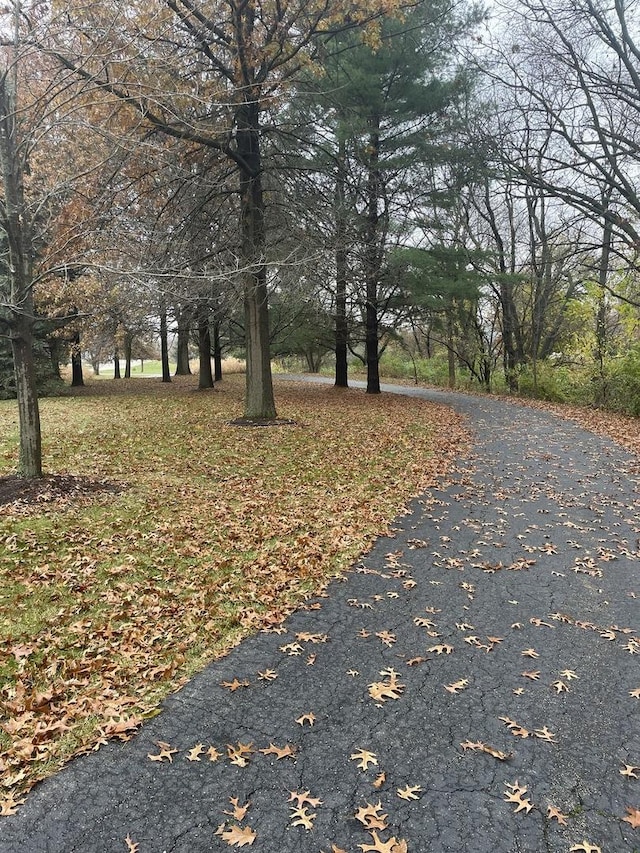 17619 Grandview Dr, Sterling, IL 61081 - view of road