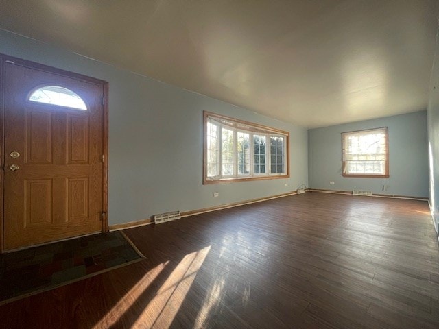 foyer entrance featuring dark hardwood / wood-style floors