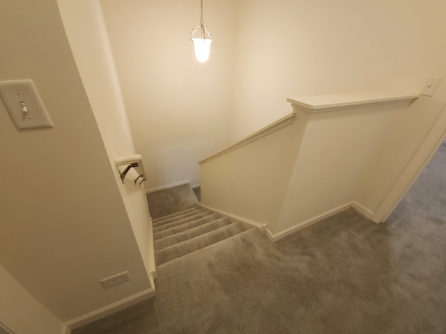 stairway with carpet