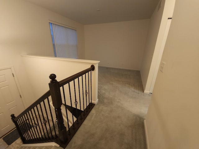 stairway featuring carpet flooring