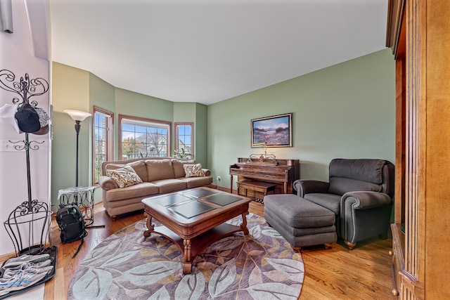 living room with light hardwood / wood-style flooring