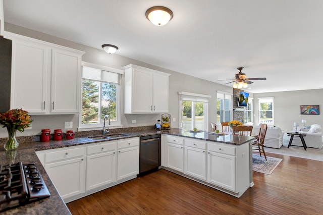 kitchen with kitchen peninsula, a wealth of natural light, sink, dark hardwood / wood-style floors, and appliances with stainless steel finishes