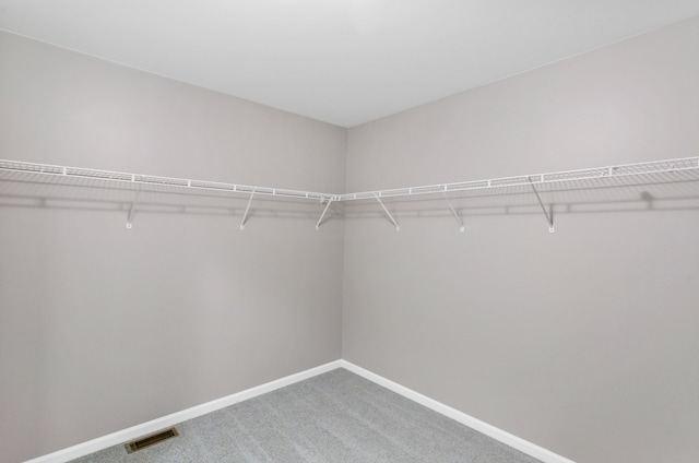 walk in closet featuring carpet floors