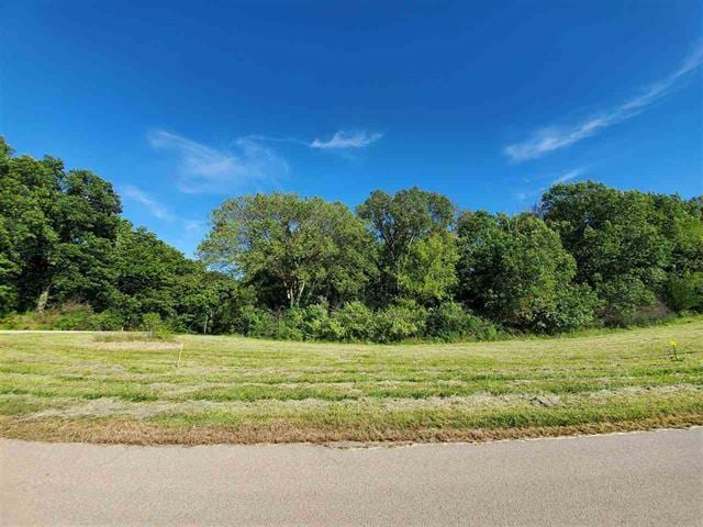 2166 Fawn Ridge Dr, Dixon IL, 61021 land for sale