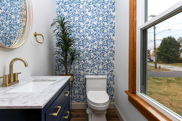 bathroom featuring toilet, vanity, wood-type flooring, and plenty of natural light