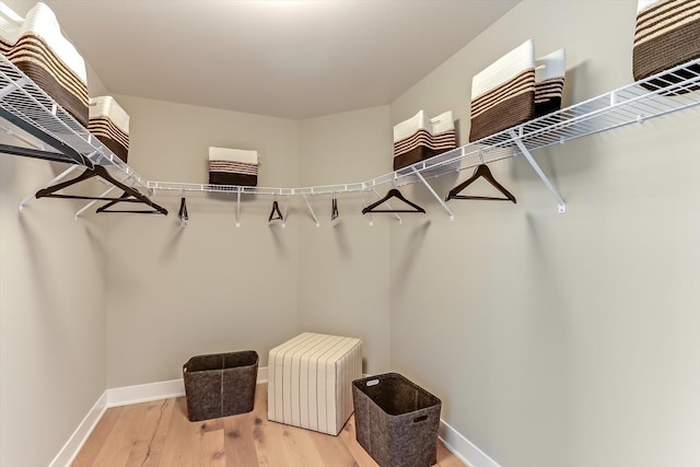 spacious closet featuring light hardwood / wood-style floors