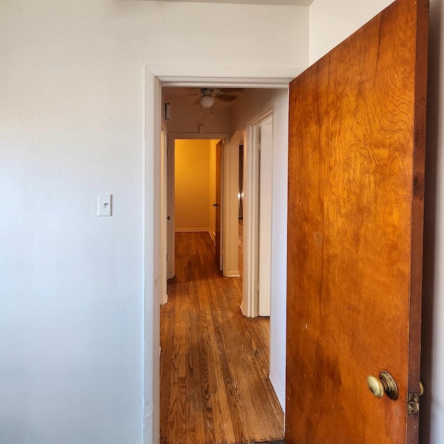 hall with dark hardwood / wood-style flooring