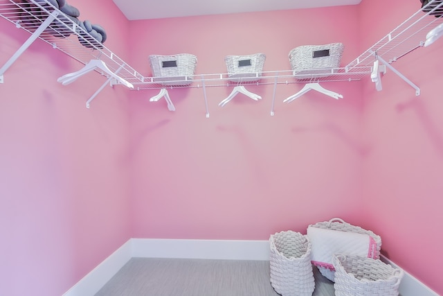 spacious closet featuring carpet floors