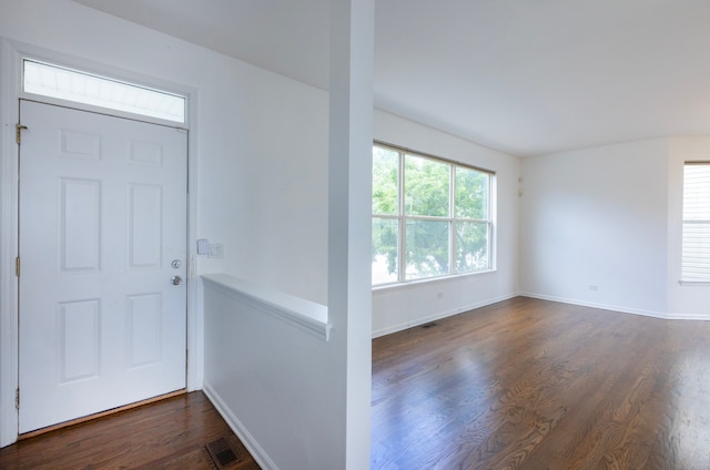 foyer entrance with plenty of natural light and dark wood-type flooring