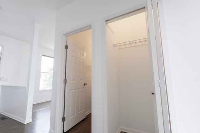 view of closet