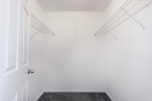 spacious closet featuring carpet flooring