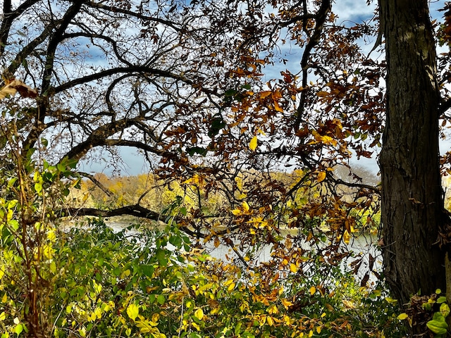 view of landscape