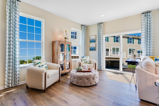 living room featuring hardwood / wood-style flooring