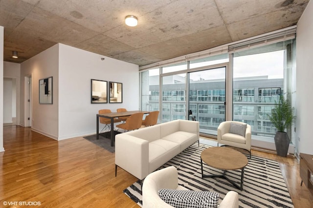 living room featuring a healthy amount of sunlight and light hardwood / wood-style floors