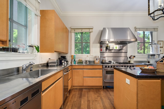 kitchen with wall chimney exhaust hood, dark hardwood / wood-style floors, appliances with stainless steel finishes, and ornamental molding