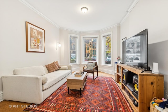 living room featuring hardwood / wood-style floors and ornamental molding