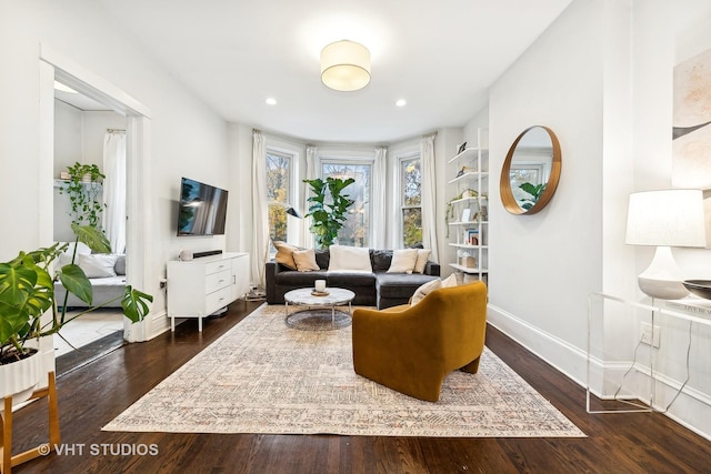 living room with dark wood-type flooring