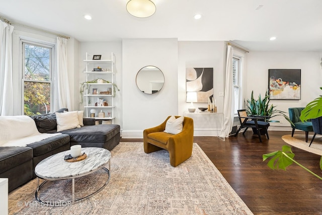 living room featuring wood-type flooring