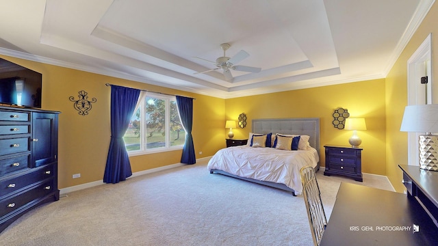 bedroom featuring light colored carpet and a tray ceiling