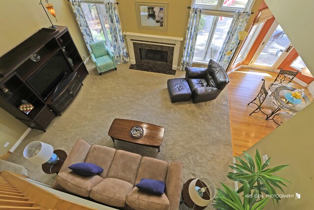 living room with hardwood / wood-style flooring and a tile fireplace