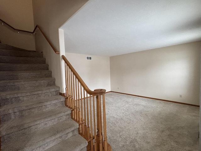 staircase with carpet floors