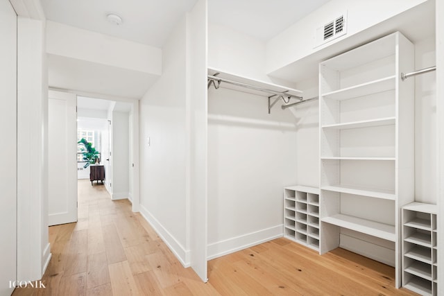 spacious closet featuring visible vents and light wood-style flooring