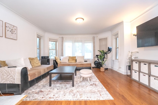 living room with ornamental molding and hardwood / wood-style flooring