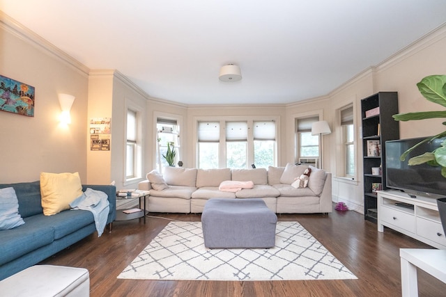 living room featuring dark wood-type flooring and crown molding