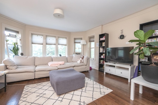 living room featuring dark wood-type flooring and ornamental molding