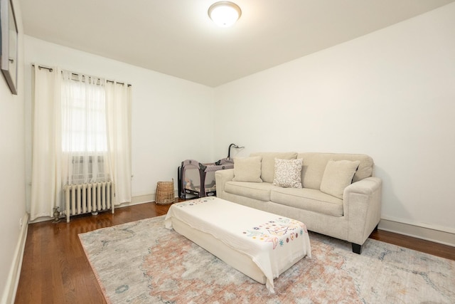 living room with wood-type flooring and radiator