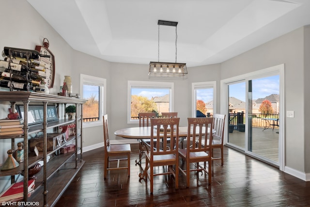 dining space featuring dark hardwood / wood-style floors and a tray ceiling