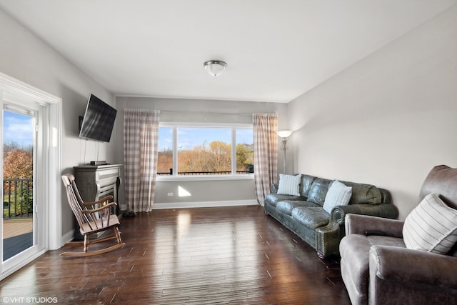 living room with dark wood-type flooring