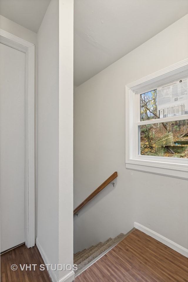 staircase with hardwood / wood-style floors