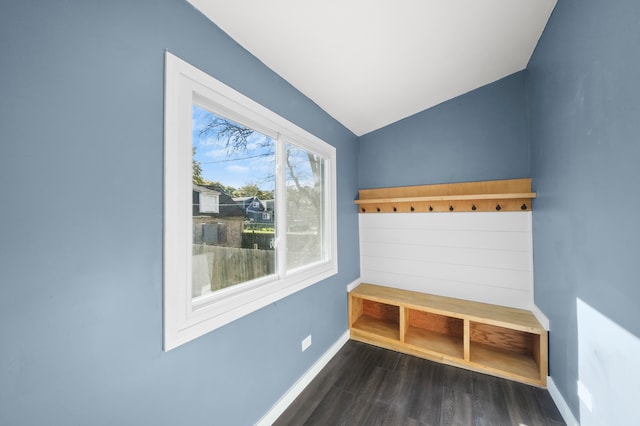 mudroom with dark hardwood / wood-style flooring and vaulted ceiling