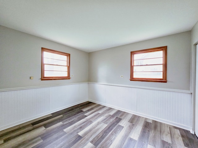 spare room featuring wood-type flooring