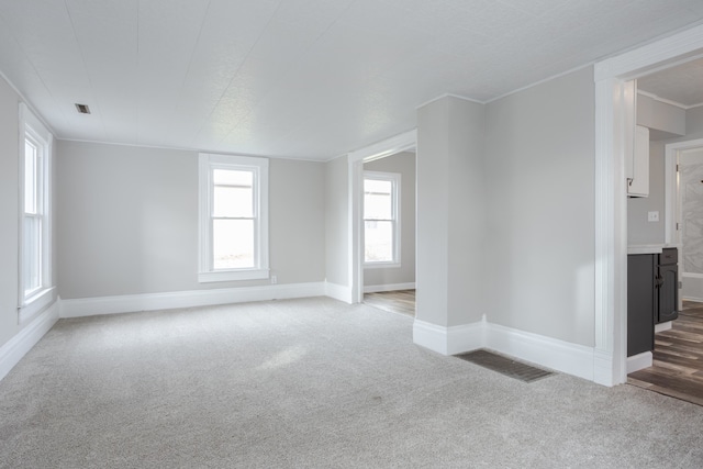 empty room featuring carpet floors