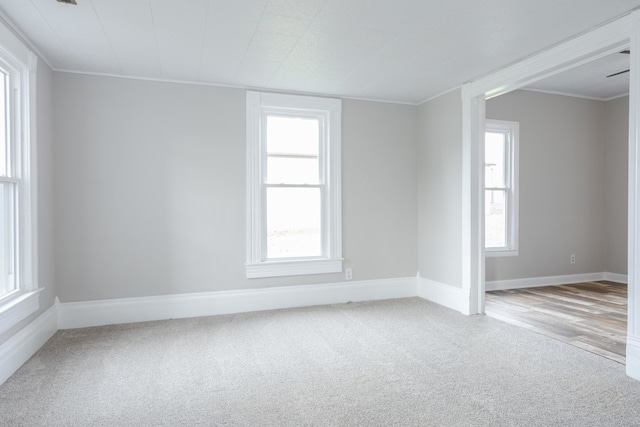 spare room with wood-type flooring and crown molding