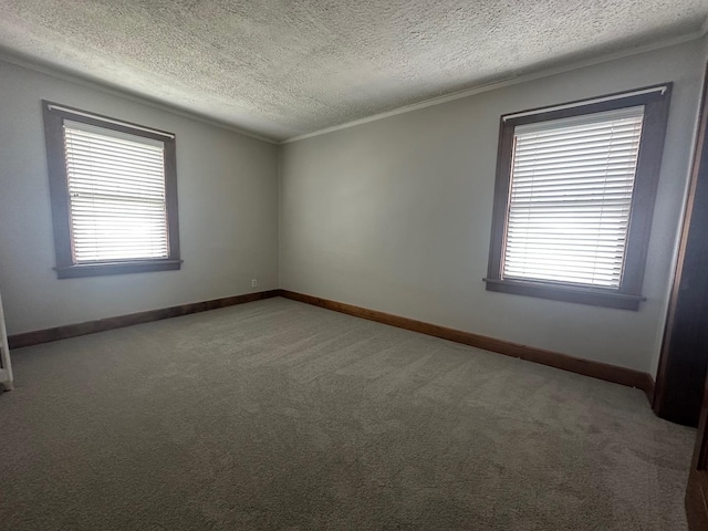 carpeted empty room with a textured ceiling and ornamental molding