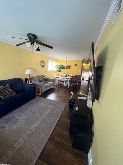 living room featuring dark wood-type flooring, ceiling fan, and ornamental molding