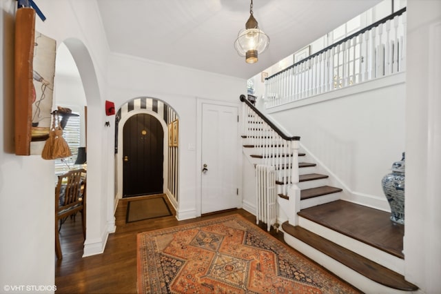 foyer with dark hardwood / wood-style flooring