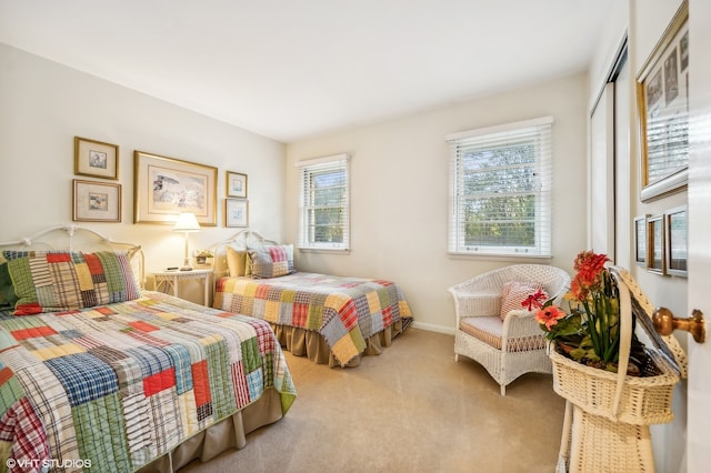 bedroom featuring carpet floors and multiple windows