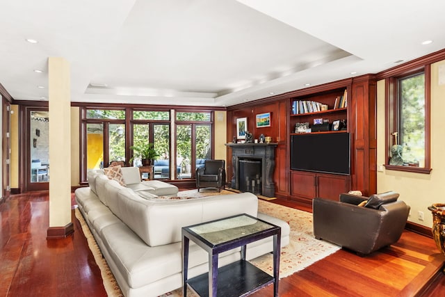 living room with wood-type flooring and a raised ceiling