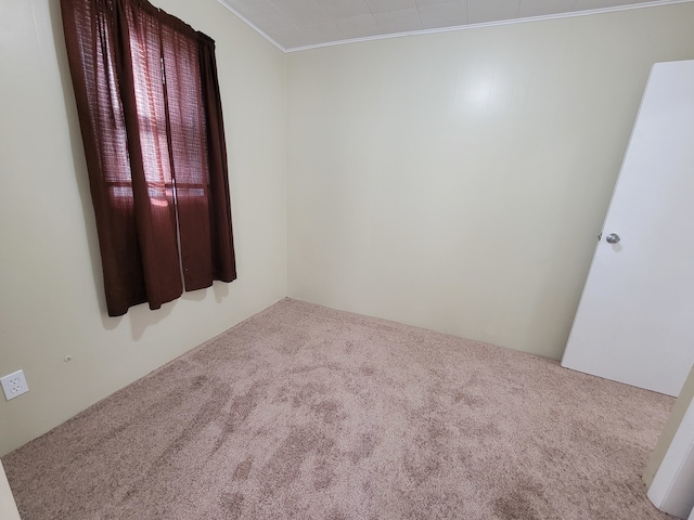 unfurnished room with carpet flooring and ornamental molding